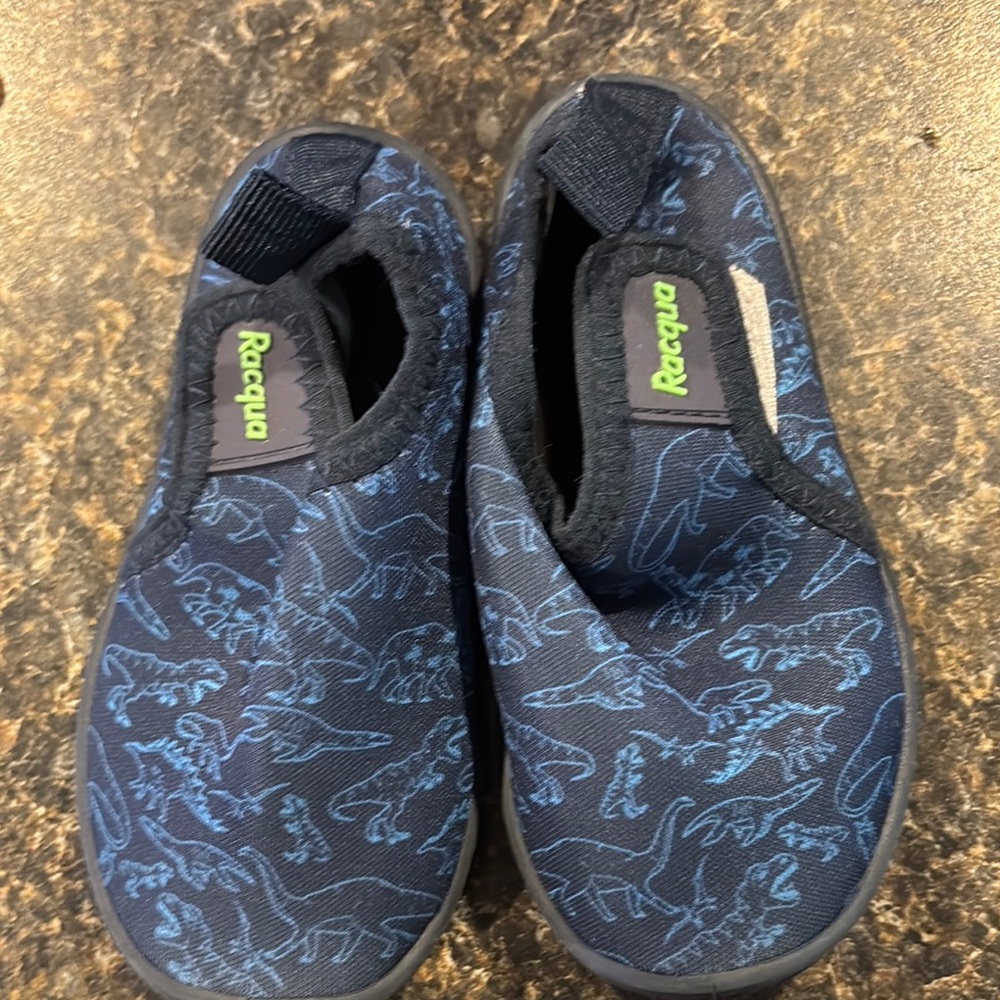 Water Shoes Kids Blue Dinosaur Shoes